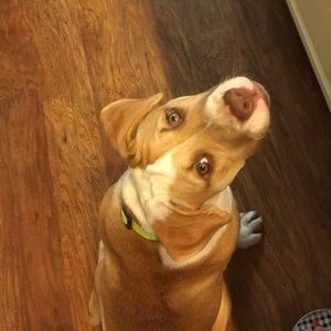 Meet your Posher, Camryn